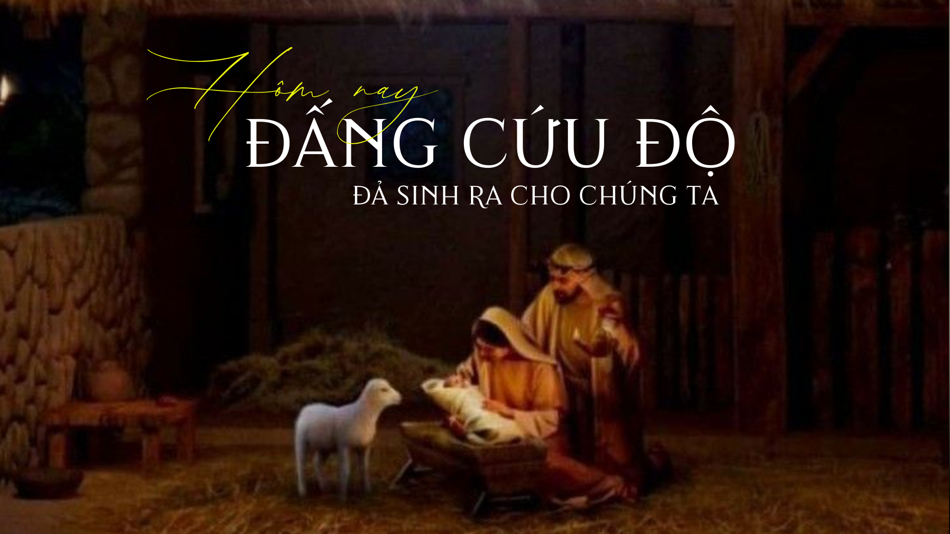 Hôm nay Đấng Cứu Độ đã sinh ra cho chúng ta